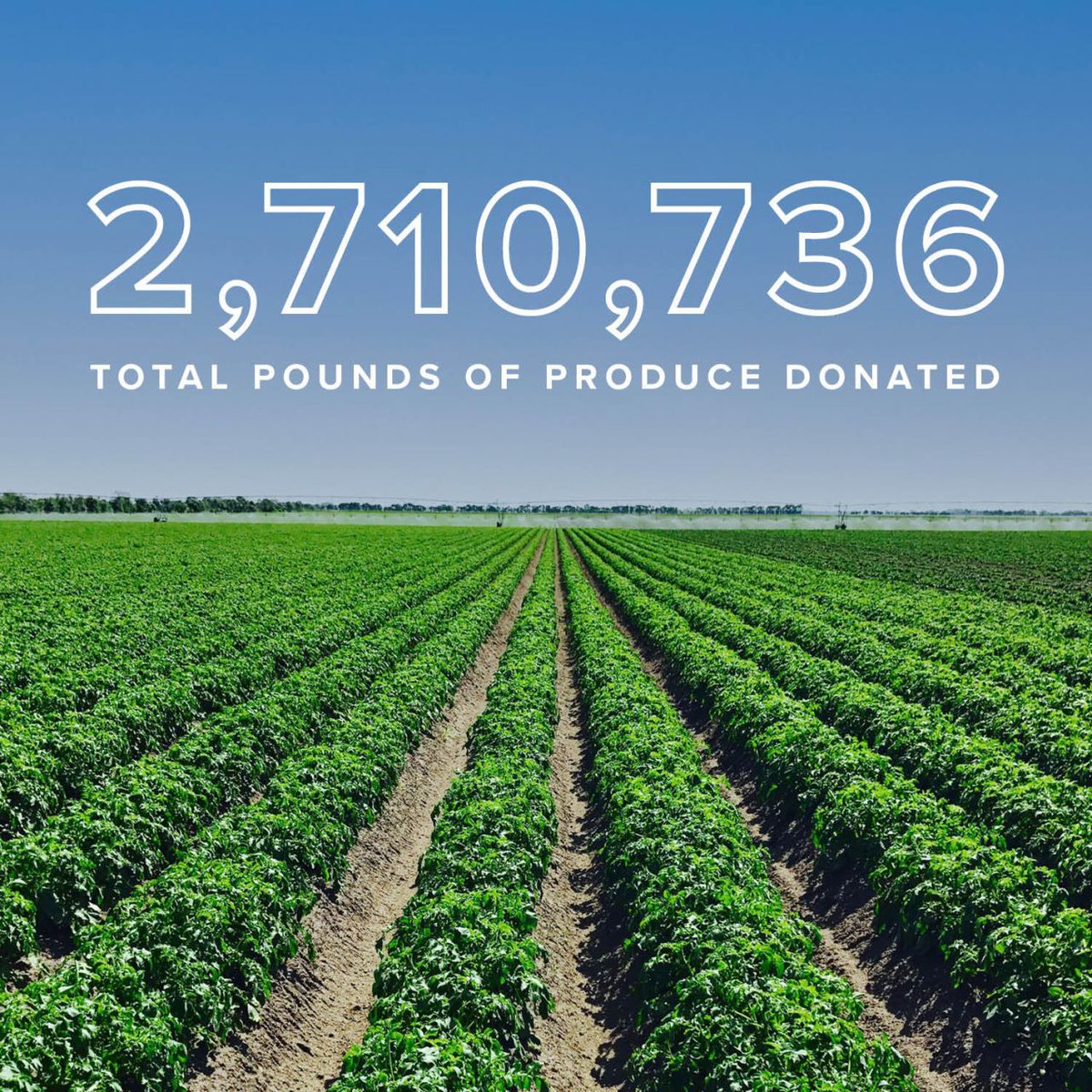 PeakoftheMarket's tweet photo. From May 1, 2022, to April 30, 2023, Peak of the Market Ltd. supported food security and reduced food waste by donating 2.7 million pounds of produce to numerous community organizations throughout Winnipeg and across Canada ♥ 🥔🧅🥕

Learn more: https://t.co/S1aYdliPDx https://t.co/WmPnz5ZAPD
