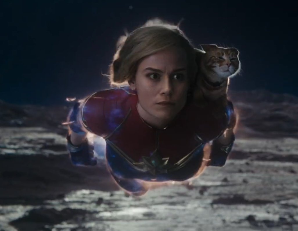 badwolf48f's tweet photo. Queréis convencernos que una película donde Carol vuela con Goose encima va a ser mala. Not on my watch. https://t.co/8rUP6kMOoa