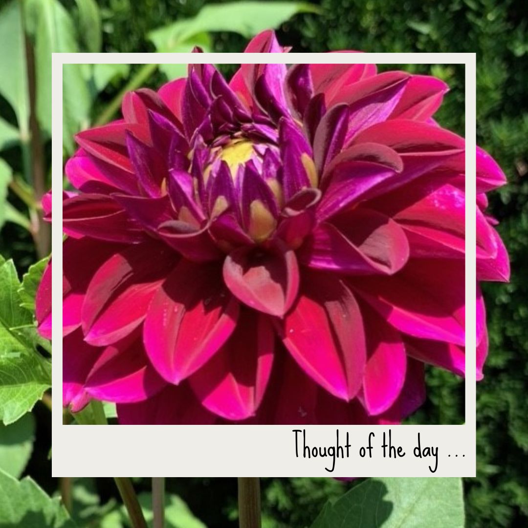 dianesparrish's tweet photo. It’s the last day of August, so let’s remember as we enjoy the waning days of summer:
“The earth laughs in flowers.” ― Ralph Waldo Emerson
#Thoughtoftheday #wordstoliveby #SeptemberIsComing #writersofIG https://t.co/6dQNLy07wj