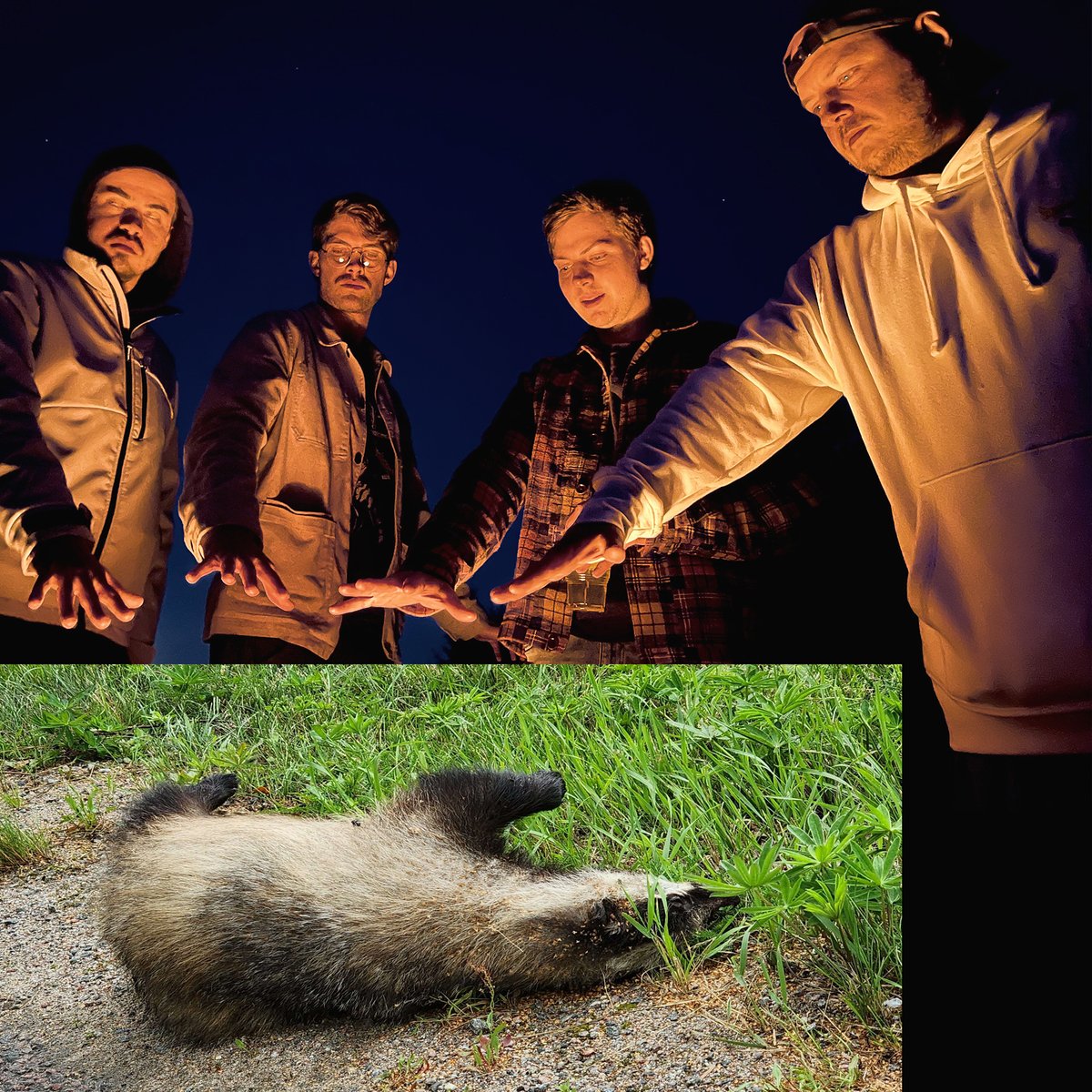 BOA_Tweets's tweet photo. (...) And one, one badger were gifted to the race of men, who above all else desire power. https://t.co/4caGfn3EXD