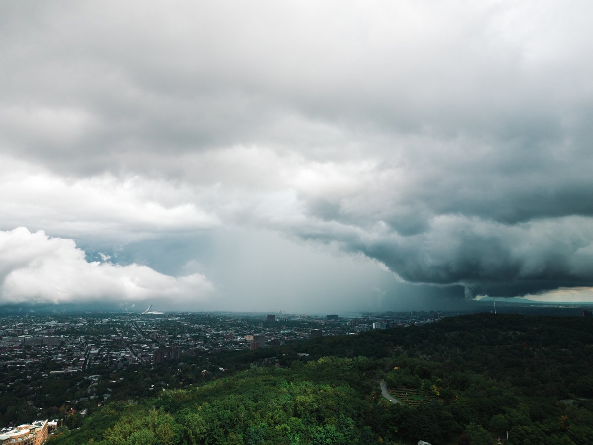 Martin Reisch tweet media
