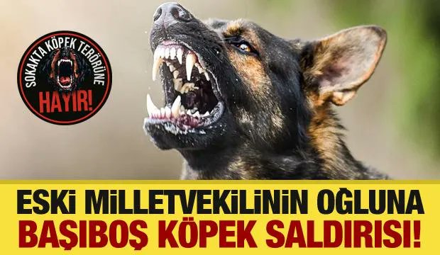 Eski milletvekilinin oğluna başıboş köpek saldırısı! bit.ly/3R2MtJo