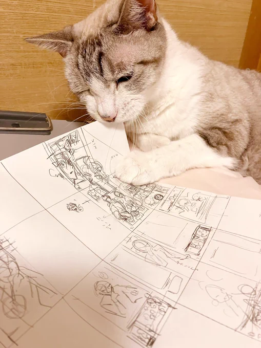 これはネームを邪魔する猫 