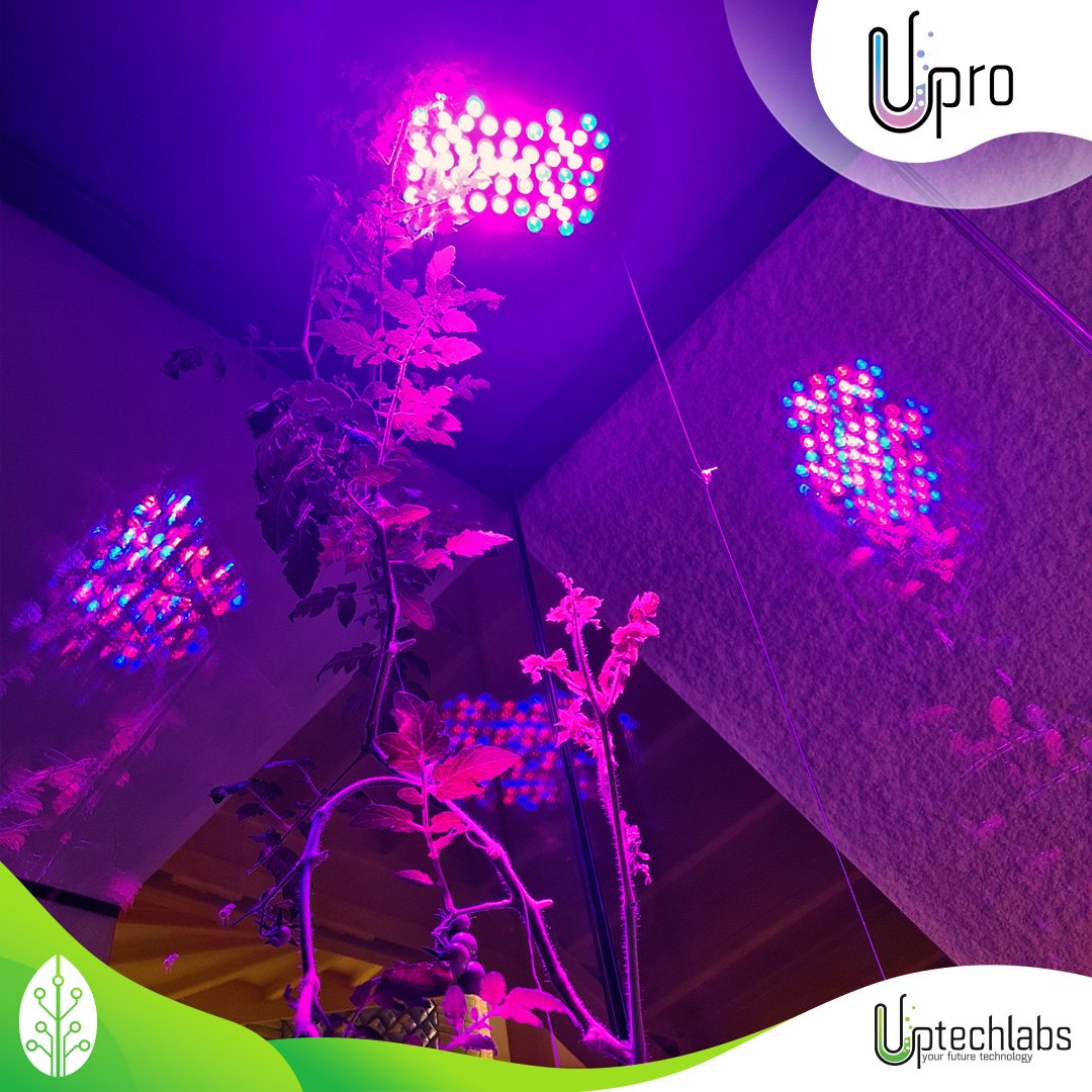 Uptechlabs tweet media