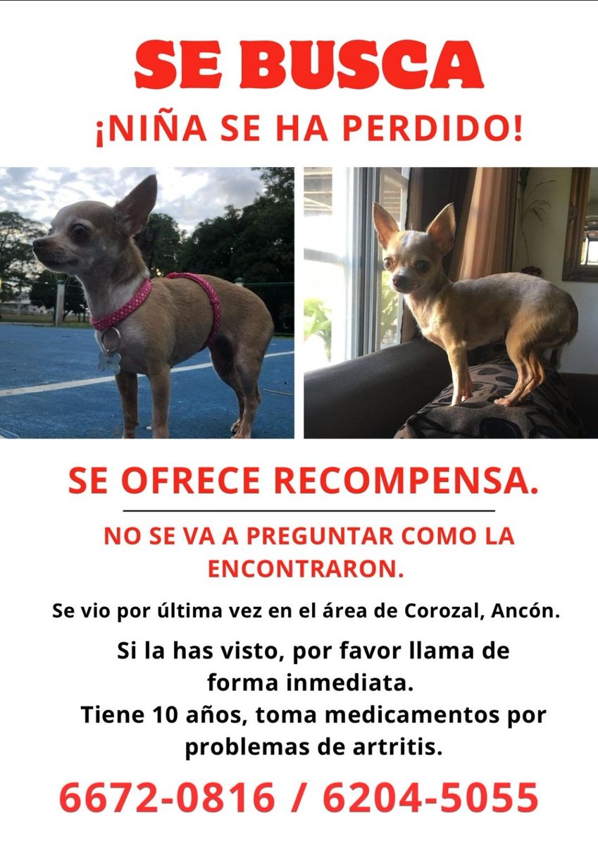 PabloBosquez's tweet photo. Seguimos buscando a Niña https://t.co/p3m4T8bjag