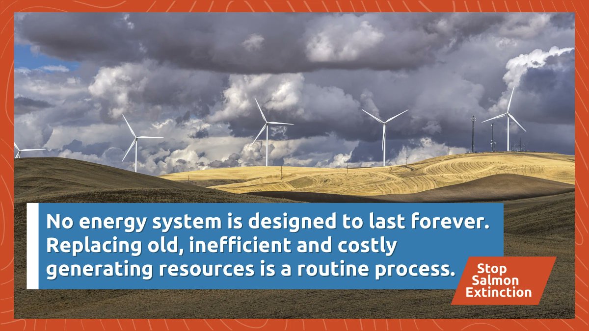 savewildsalmon's tweet photo. The status quo is not sustainable. We can have a future with clean and affordable energy, economic opportunities for everyone, abundant #salmon and #steelhead, and uphold treaty responsibilities to Tribal Nations. We must act now: https://t.co/Oq1pb7qPHy 
#StopSalmonExtinction https://t.co/bwyyyBB28X