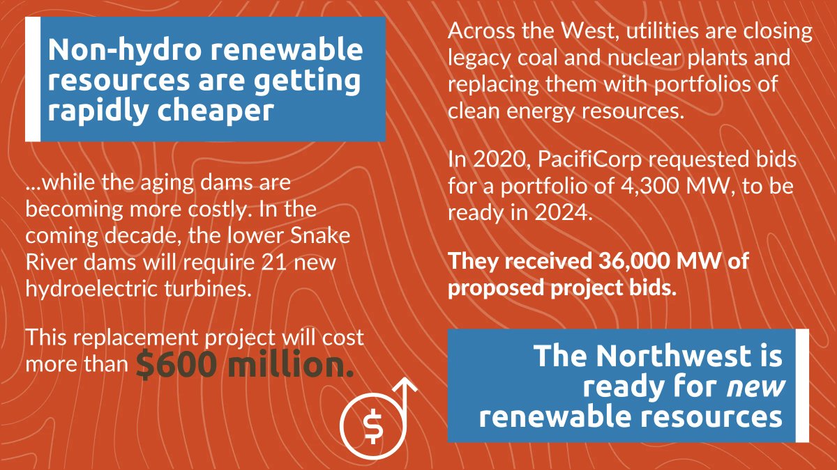 savewildsalmon's tweet photo. The status quo is not sustainable. We can have a future with clean and affordable energy, economic opportunities for everyone, abundant #salmon and #steelhead, and uphold treaty responsibilities to Tribal Nations. We must act now: https://t.co/Oq1pb7qPHy 
#StopSalmonExtinction https://t.co/bwyyyBB28X