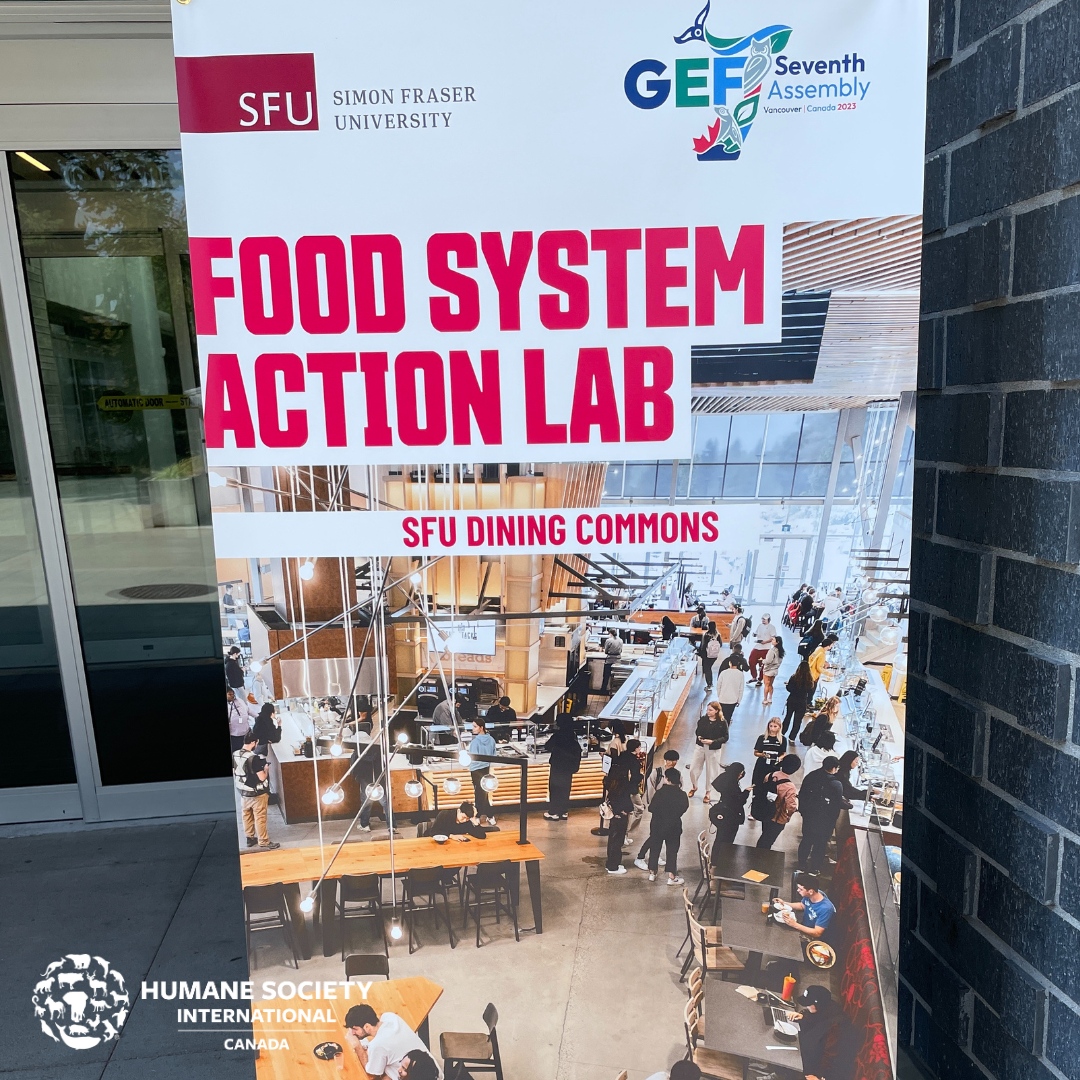 humaneworldcan's tweet photo. This past weekend, our #ForwardFood team participated in a food and sustainability action lab during the the seventh Global Environment Facility (GEF) Assembly.

We had the chance to speak about the benefits of shifting our food system to focus on animal-free proteins! 🌱 https://t.co/TJM4IKxJFM