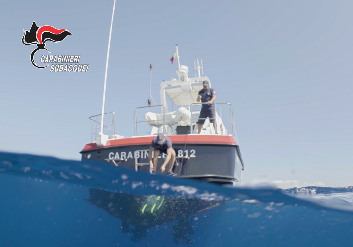 ClassiCult tweet media