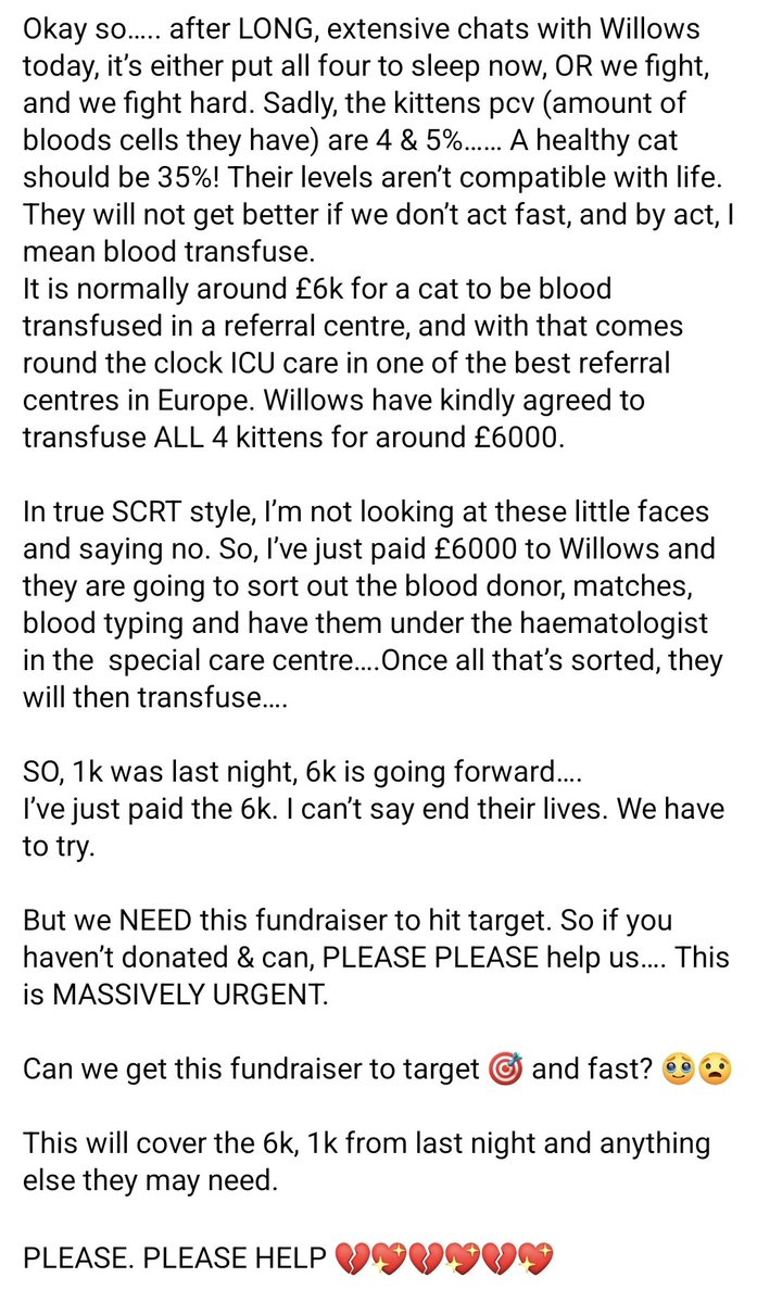 🚨🚨🚨 CRITICAL KITTEN UPDATE 🚨🚨🚨

Full info in pic!

PLEASE. PLEASE HELP 💔💖💔💖💔💖

Thank you 🙏 
Link here ⬇️ 

Every little bit helps!

paypal.com/pools/c/8Xbzu9…

Thank you 💔💔💔💔