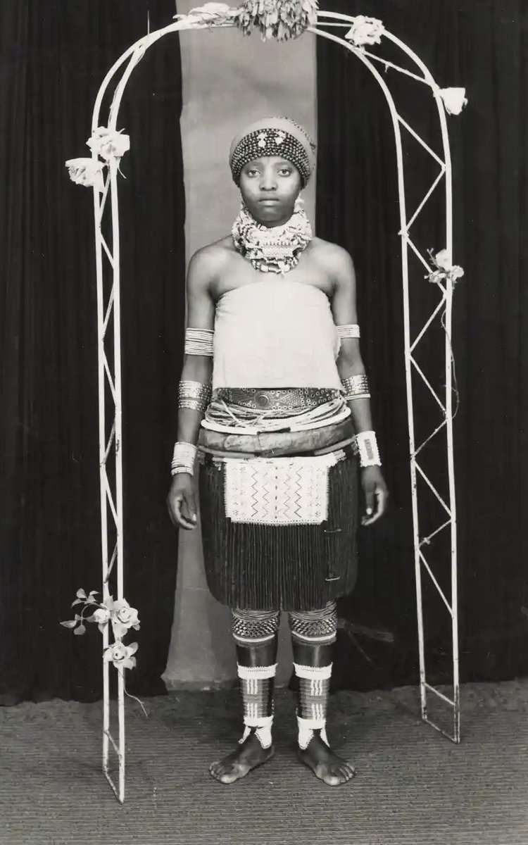 SUNU Journal tweet media