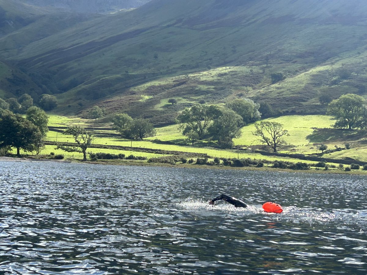 Dave McNamara tweet media