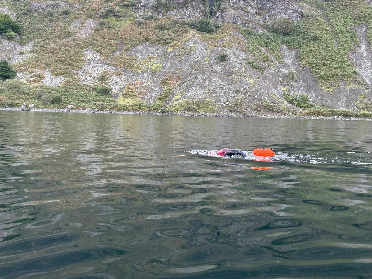 Dave McNamara tweet media