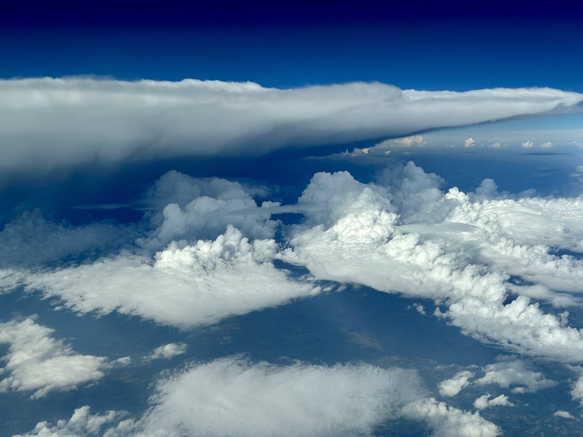 ıuɐpɹoıƃ sɐloɔıu tweet media