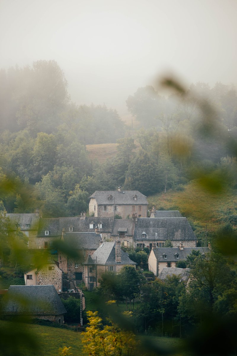 hellolaroux tweet media