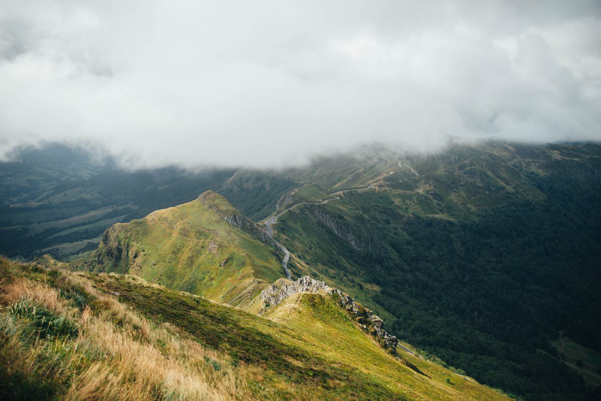 hellolaroux tweet media