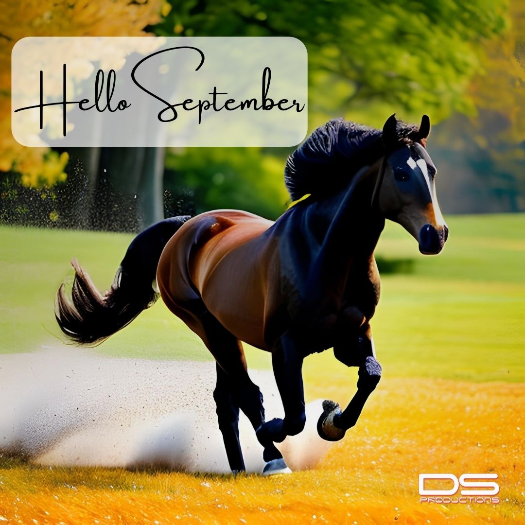 PublishingDs's tweet photo. Happy September, y'all!
It’s time to site on the porch, sip some sweet tea and enjoy the last bits of summer. Pull on those cowboy boots and let’s step into Fall!
#HelloSeptember #HereComesFall #Bookish #readingaddict #westernreads https://t.co/4FtEnVepCT