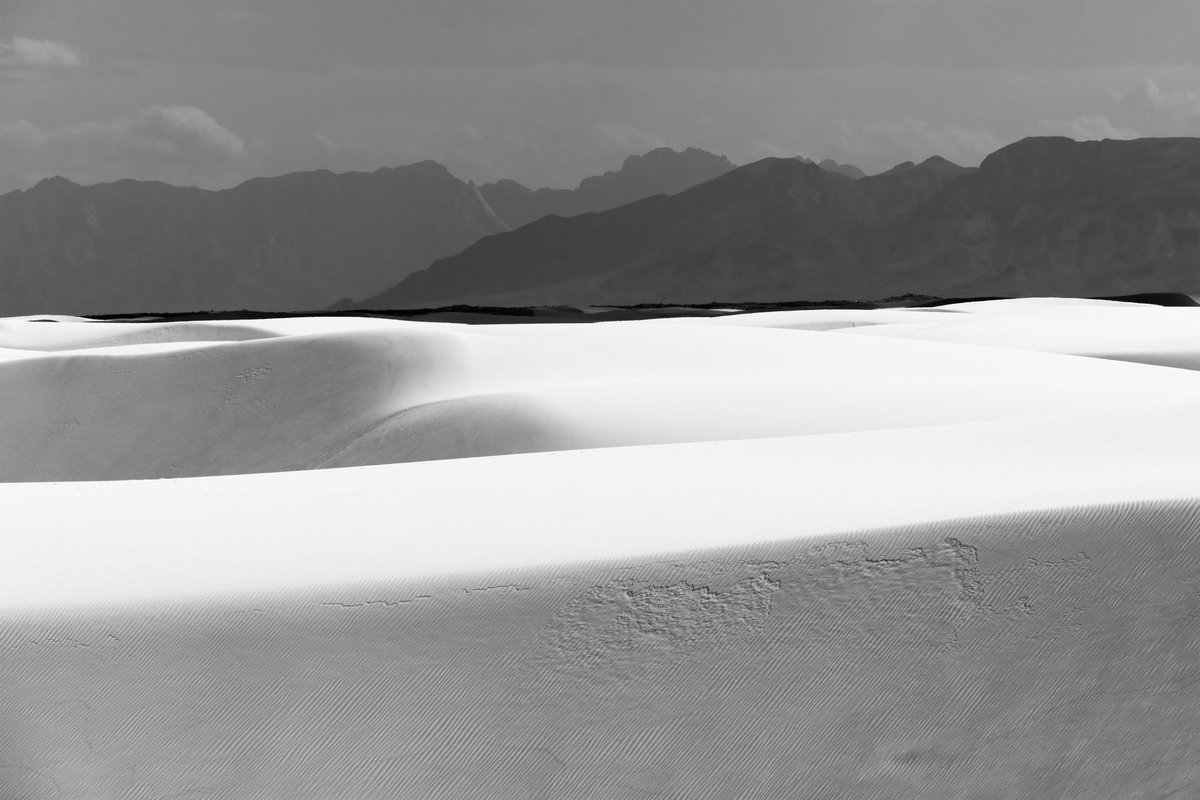 GM friends!

Birthright drops today some time.  Lets go🚀

Endless Evolution