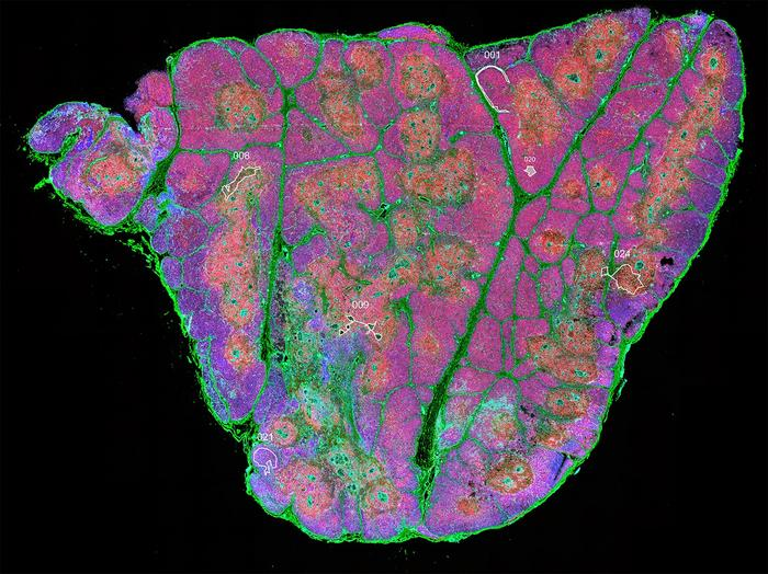 eurekalert.org/news-releases/…
#CELLSCIENCE VISIT : longdom.org/cell-science-t…
