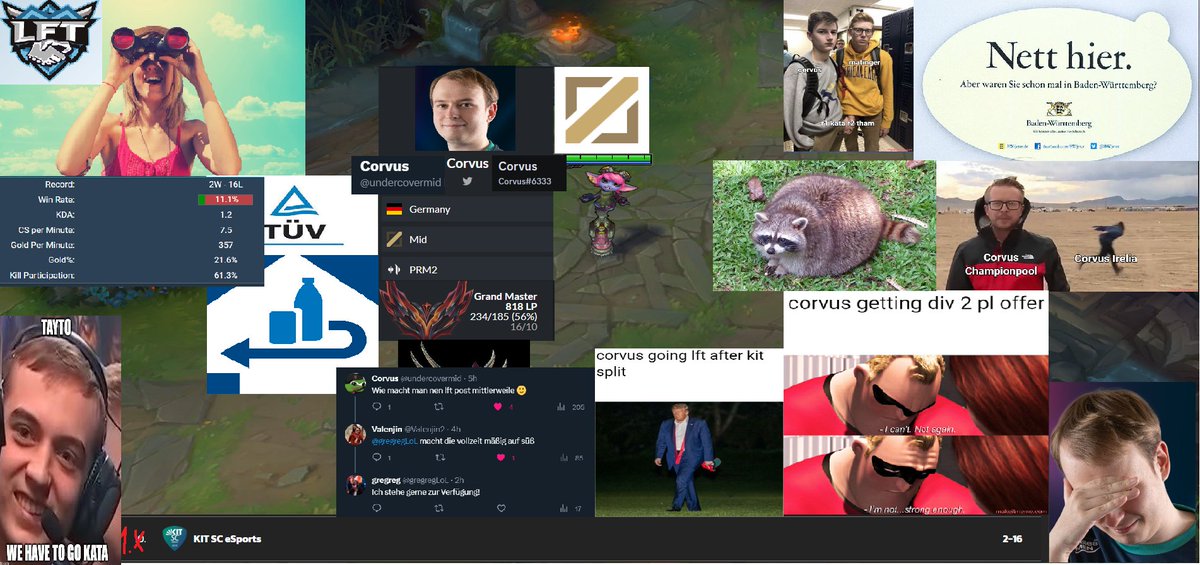 Corvus tweet media