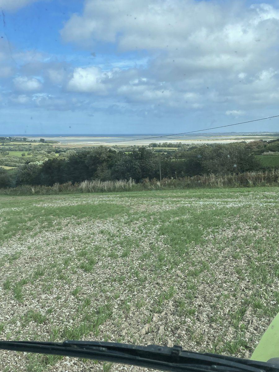 Y’a pire comme vie de bureau de travail 😅