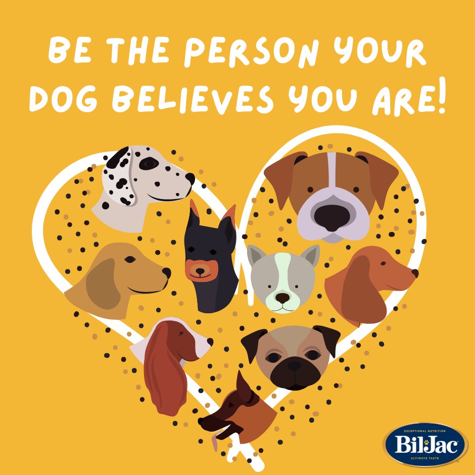 Dogs remind us to wag our tails through every challenge!