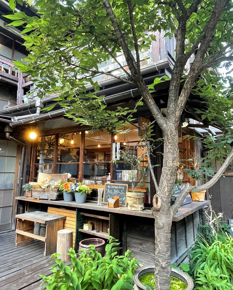 「しあわせは食べて寝て待て」
最新話では、オリーブオイル専門店の
「OshiOlive」様を取材させていただきました。
上野桜木にある、素敵なお店です!🫒

本日発売のフォアミセス10月号、
チェックしてくださいね🌱(担) 