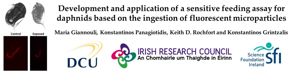 MSc student Maria Giannouli developed a new method in @EnvSciRSC. Using fluorescent microparticles, the feeding rate of daphnids was used as a surrogate phenotypic endpoint for pollution assessment. @scienceirel @IrishResearch pubs.rsc.org/en/content/art…