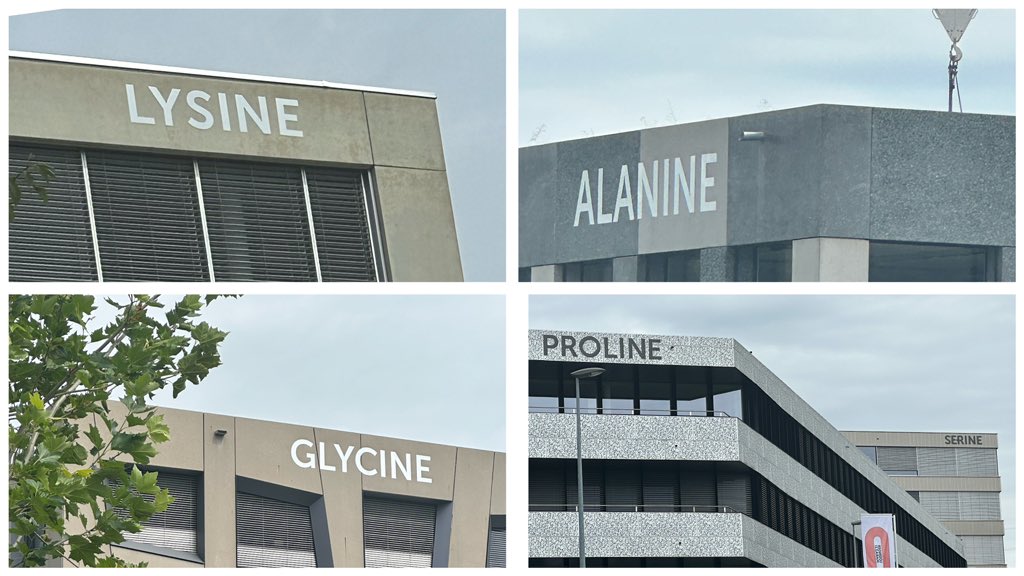 victornizet's tweet photo. in Lausanne, Switzerland🇨🇭all the buildings are designated by an amino acid, then the streets named after the peptides they form—avenue d’insuline, rue de calcitonin, chemin cathelicidin, etc.

sort of cool I guess, but the Uber driver pretty much needs a PhD in biochemistry https://t.co/Hr7V2475qj