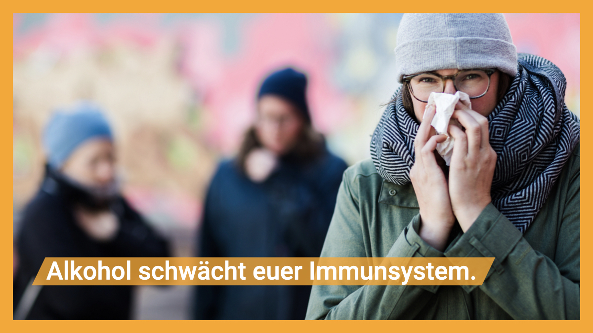 #Alkohol schwächt das #Immunsystem und macht den Körper anfälliger für virale oder bakterielle Infektionen – dadurch könnt ihr schneller eine #Erkältung bekommen. 🤒 
Das liegt am Vitamin-C-Mangel durch die Dehydrierung und an fehlenden Eiweißen, den Zykotinen.
