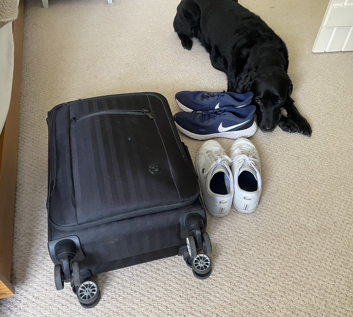 Andrew Cotter tweet media