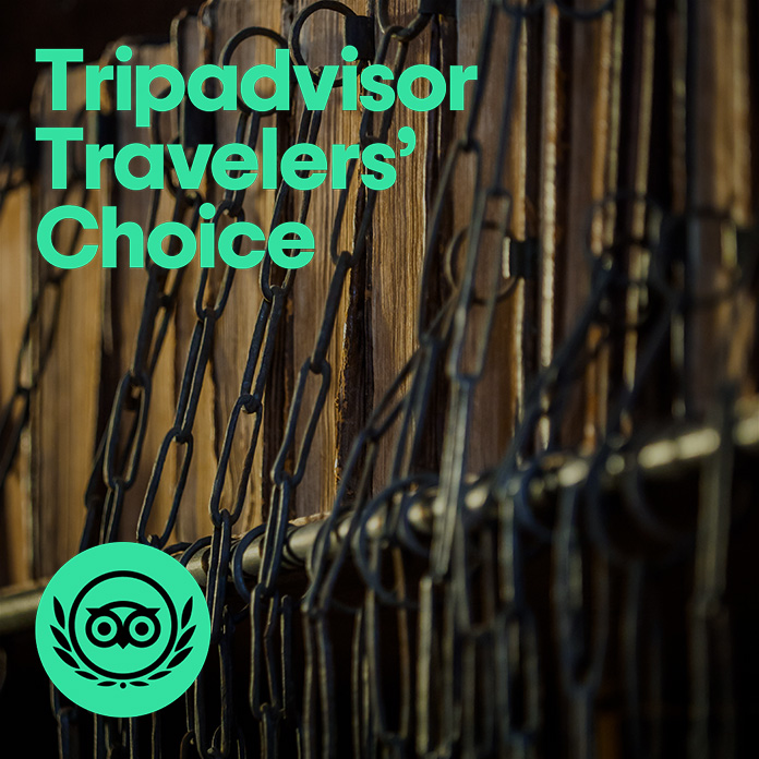 HFDCathedral's tweet image. TRAVELERS CHOICE 2023
We are delighted to announce that we have been once again awarded the @Tripadvisor #TravelersChoice award, for being one of the top rated tourist attractions in the UK.
☺️Thank you to everyone who stopped by in the last year to support us.