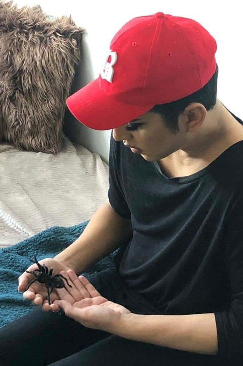 AmaanStorm's tweet photo. Well, that's one way of getting over an irrational fear.......

#spider #tarantula #arachnophobia https://t.co/rgTuJZxm2V