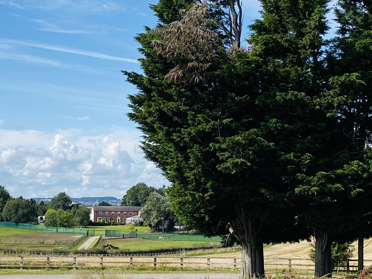 bpowell13's tweet image. 23 degrees at 1pm so no better place for the horses to be, than turned out in the paddocks at Howe Hills after exercise. @RebeccaEMenzies #relaxingdays #happyhorses
