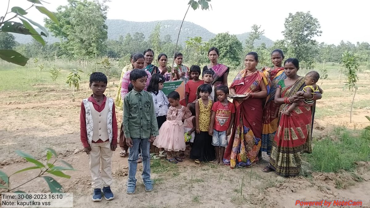 DfoSundargarh's tweet image. Similar Celebration of Vriksha Raksha Bandhan underway at Kaputikra VSS of Lephripara FMU.
#SundargarhForestDivision
#OFSDP 
@ForestDeptt
@pccfodisha 
@DMSundargarh @GramSamriddhi @pradeepmirase @SoumyaMarineWL @SATTVIC_SOUL @IPR_Odisha