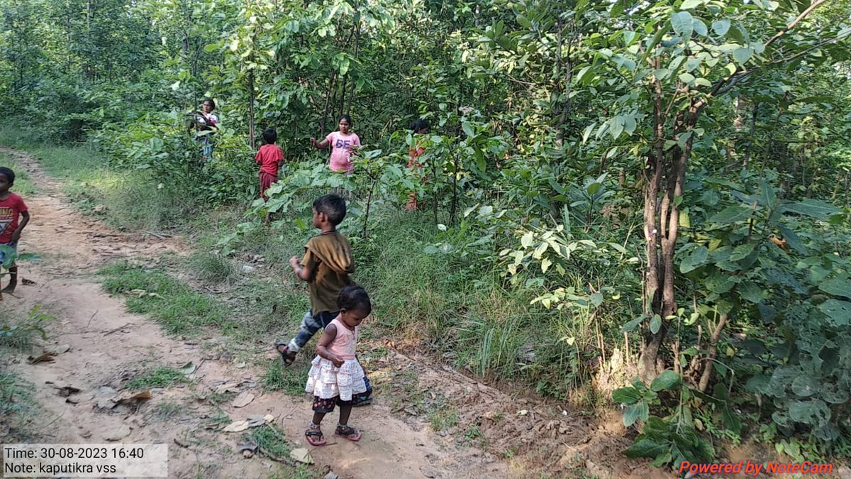 DfoSundargarh's tweet image. Similar Celebration of Vriksha Raksha Bandhan underway at Kaputikra VSS of Lephripara FMU.
#SundargarhForestDivision
#OFSDP 
@ForestDeptt
@pccfodisha 
@DMSundargarh @GramSamriddhi @pradeepmirase @SoumyaMarineWL @SATTVIC_SOUL @IPR_Odisha