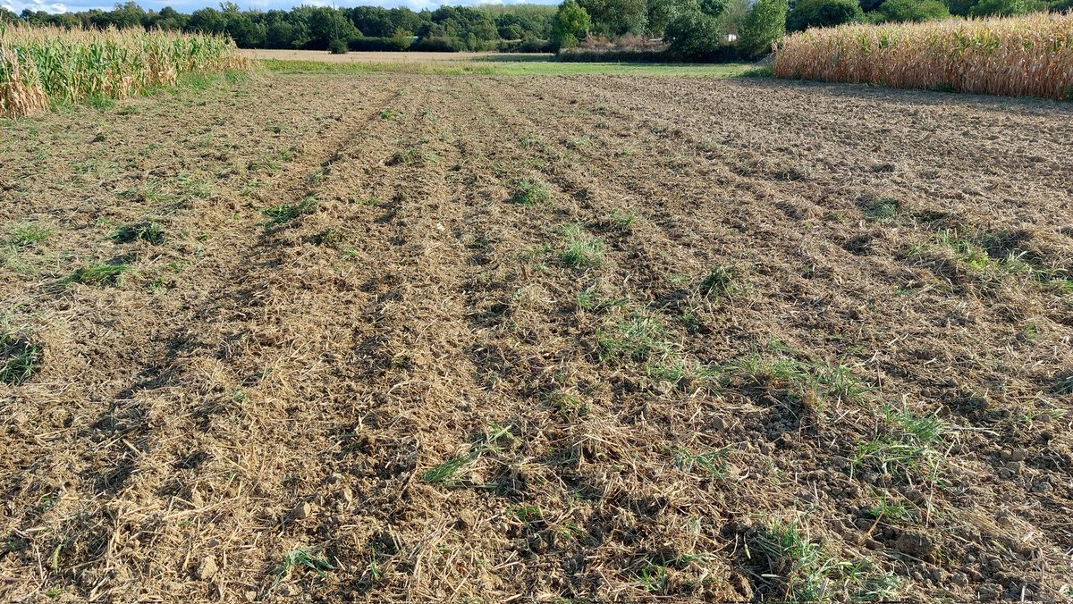 Valentin Deremetz tweet media