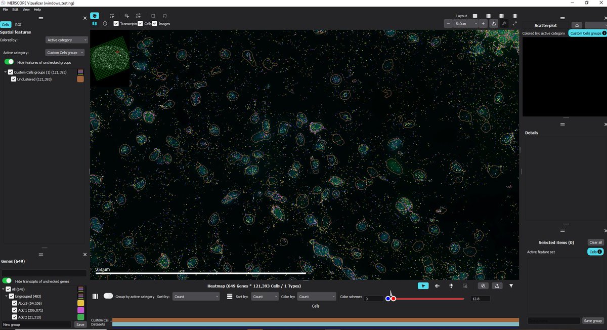 vizgen_inc's tweet photo. The #MERSCOPEVizualizer makes it easy access your #MERFISH #SpatialData & uncover biological insights with #SingleCell #GeneExpression analysis.
Learn more today: https://t.co/1Hdy6tNP3F
#MERSCOPE #SpatialAnalysis #UMAP #Heatmap #CellSegmentation #SpatialProfiling #DataAnalysis https://t.co/FXUHemLZAJ