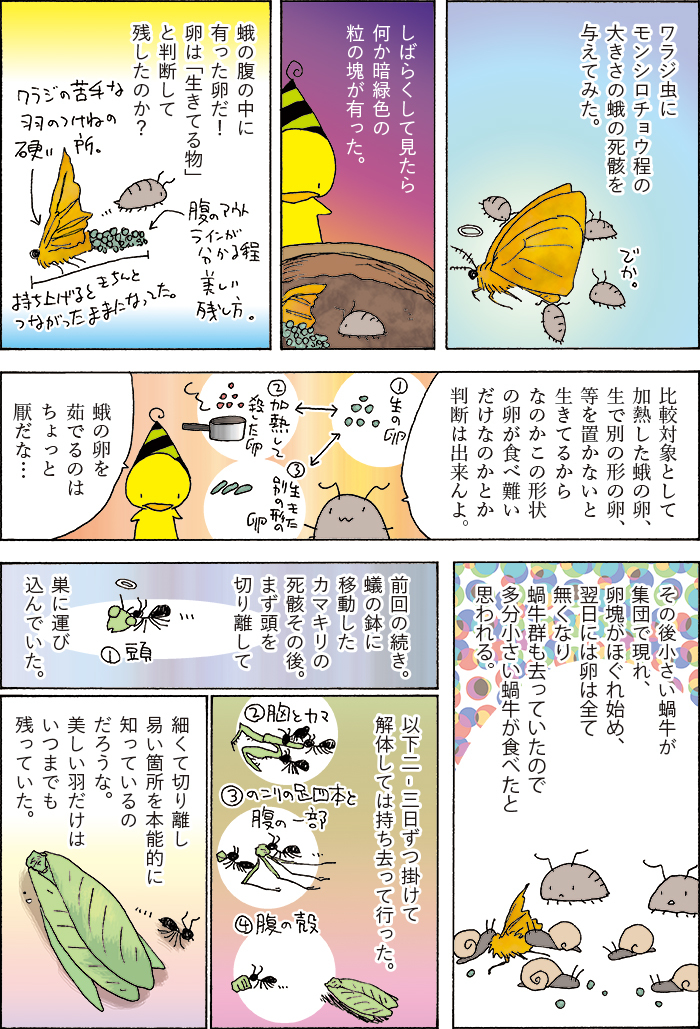 ワラジ虫は蛾の屍骸を食べるという話。 (1/1) 
