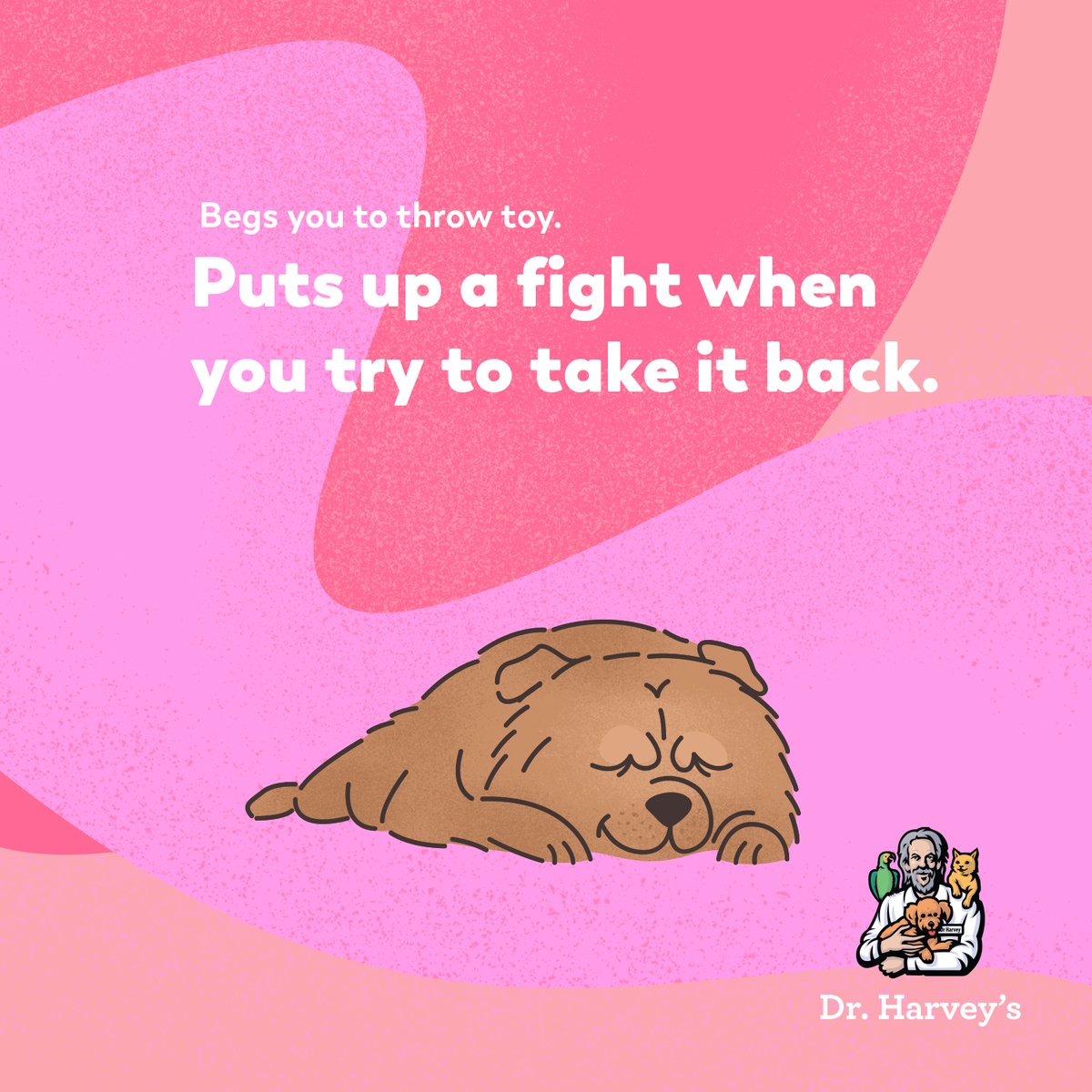 drharvey's tweet image. 🤣 The way of the dog. And we wouldn&apos;t have it any other way. Keep them in fighting shape with healthy whole food nutrition. 
#deepdogthoughts #drharveysdogs #dogmemes #activedog #seniordog #dognutrition #caninehealth