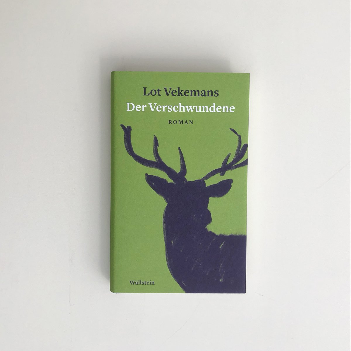 WallsteinVerlag's tweet photo. Zum Abschluss des Women in Translation Month zeigen wir euch einige Werke internationaler Autorinnen aus unserem Programm.♀️🥰 Im #WITMonth werden jährlich Autorinnen gefeiert, die auf anderen Sprachen als Englisch schreiben.
@Read_WIT #translatedfiction #wallstein https://t.co/9EKJzNAQ2D