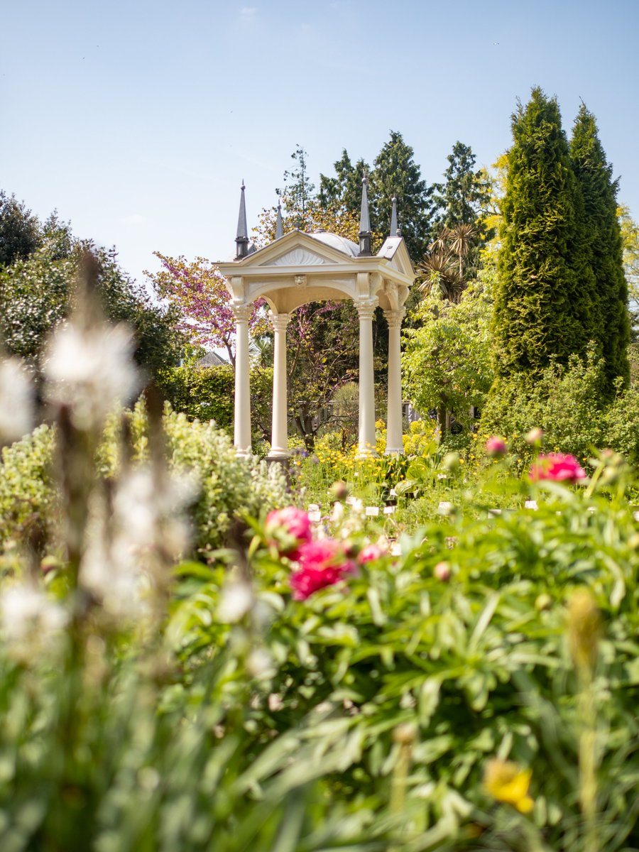 Volgend weekend is de Hortus gratis te bezoeken in het kader van de Open Monumentendagen <a href="/OMDLeiden/">Open Monumentendagen</a>. Ontdek  de Hortus tijdens de rondleiding 'Levend erfgoed'. 🌿Ook kinderen kunnen zich vermaken in het monumentale groen. Reserveren voor de rondleiding: hortusleiden.nl/programma/agen…
