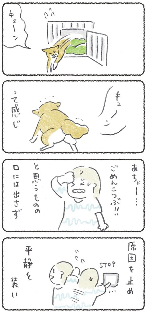 ヤな音で起きちゃったらごまかす👀1 