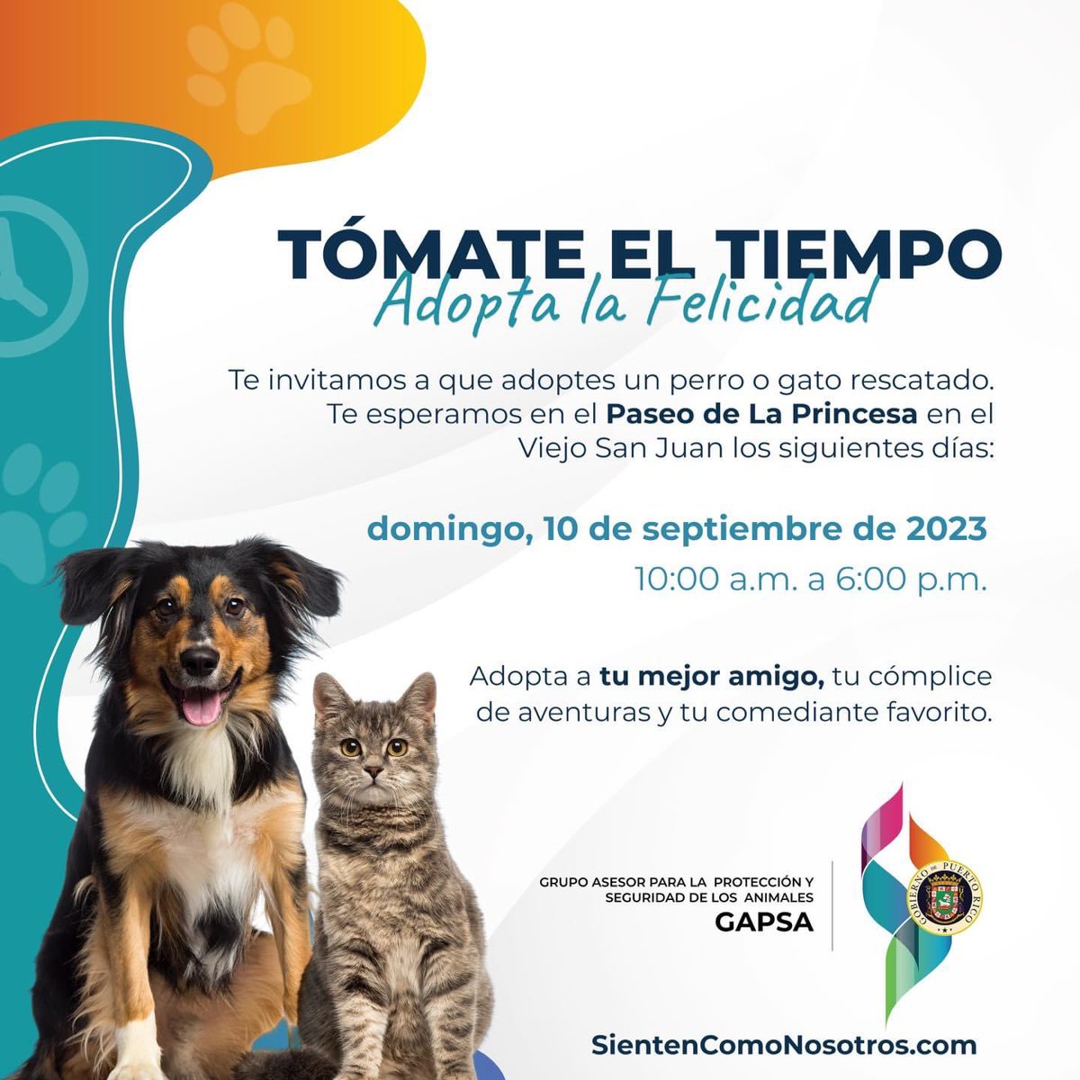 ¡Adopta la felicidad! 

El domingo, 10 de septiembre en el Paseo la Princesa en el Viejo San Juan de 10am - 6pm podrás adoptar tu próxima mascota.

 #TómateElTiempo