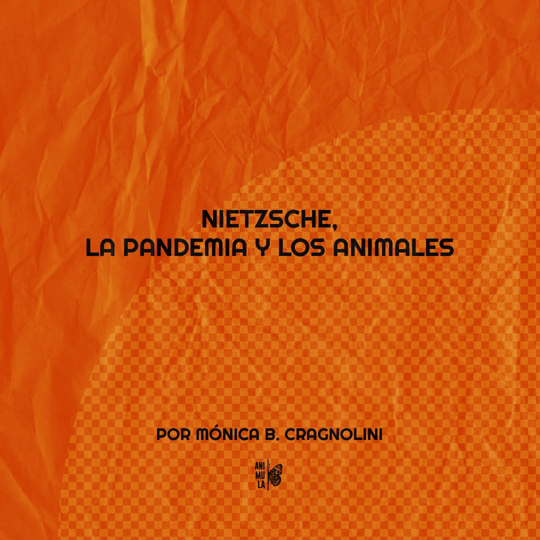La pandemia de covid-19 nos hizo patente los modos en que (mal)tratamos a los animales.

🦋 Por Mónica B. Cragnolini

animula.com.ar/nietzsche-pand…