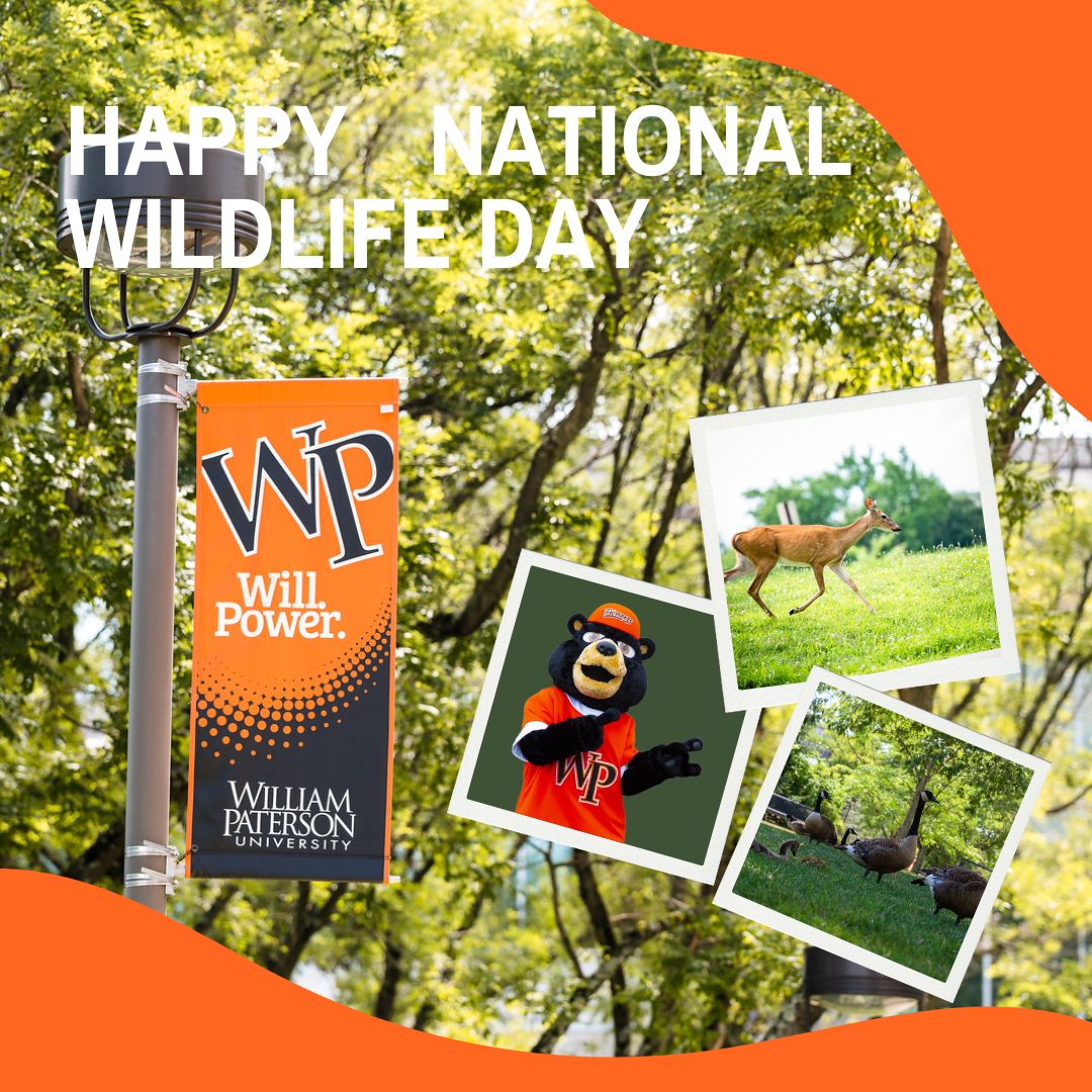 WPUNJ_Alumni's tweet photo. ๐ฟ๐ฆ Celebrating National Wildlife Day at William Paterson University! ๐ฆ๐ณ
From the smallest insects to the majestic birds and deer, every creature plays a vital role in our ecosystem.
Happy National Wildlife Day! ๐พ๐
#NationalWildlifeDay #WPAlumni #WildlifeAtWP https://t.co/rV0hGuj7pQ