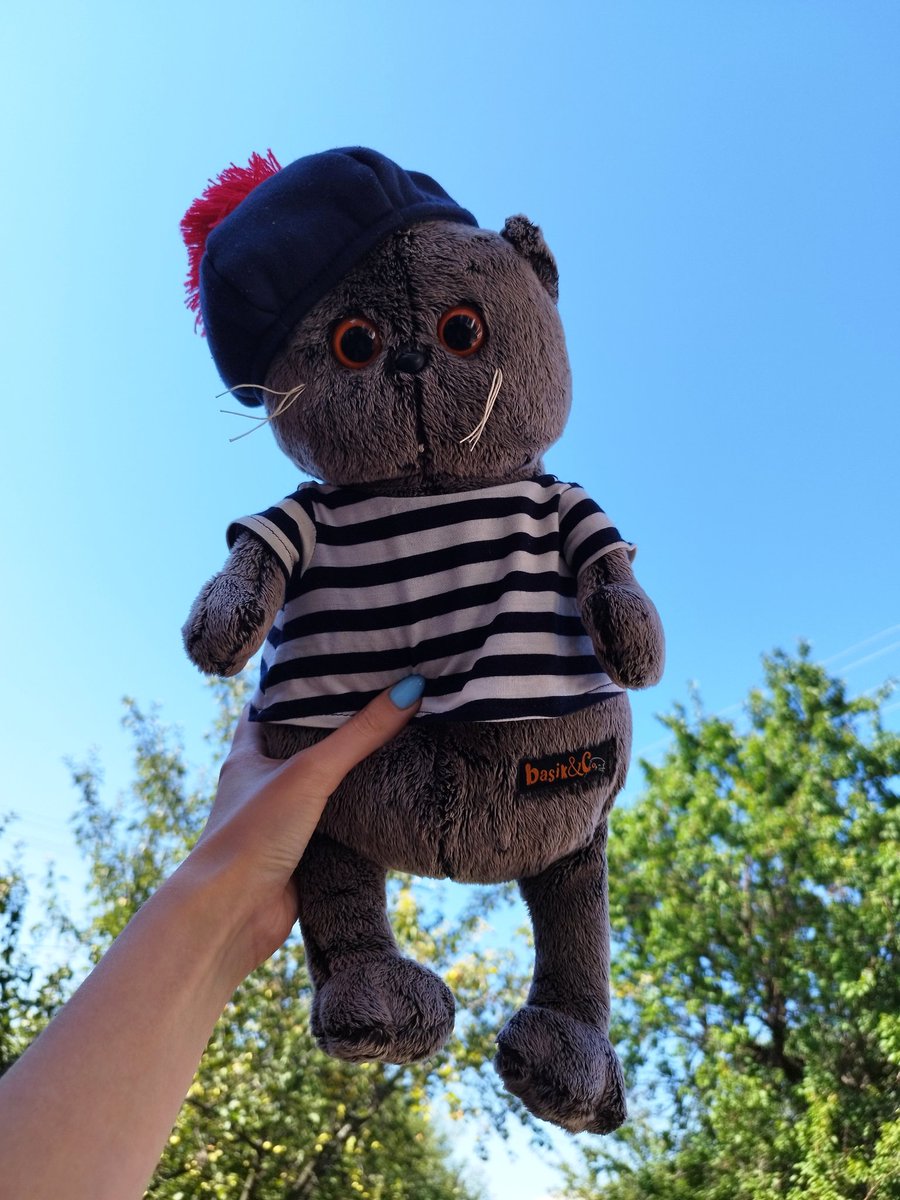 Этот кот «живёт» у меня с 2016 года. Подарок первого главы ДНР Александра Владимировича Захарченко... 
⬇️
t.me/tolkachevik/687