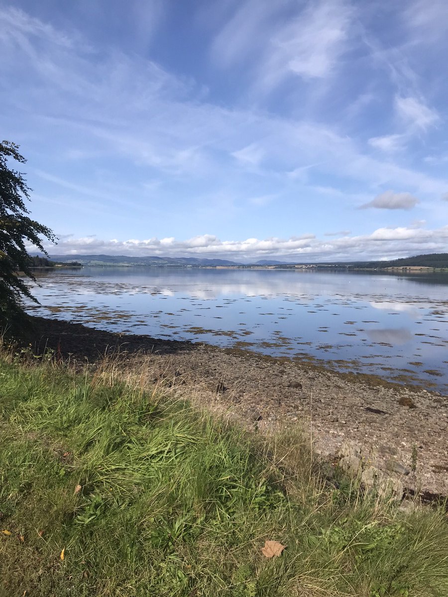 Tides a bit early in the morning but the weather more than made up for it 👍 Another seagrass bed mapped and will be uploaded soon! @MossyEarth #seagrassspotter #seagrass