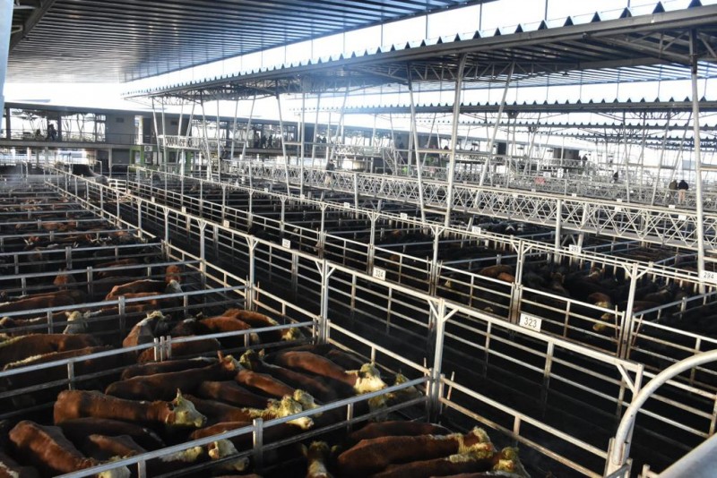 Field Farm Tours Ltd tweet media