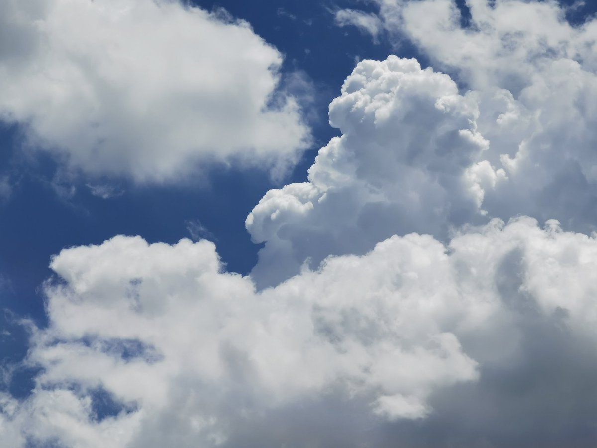 inkya_1011's tweet image. #8月を写真4枚で振り返る 
#P30Pro